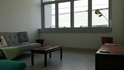 The Rochester Residences (D5), Apartment #99366652